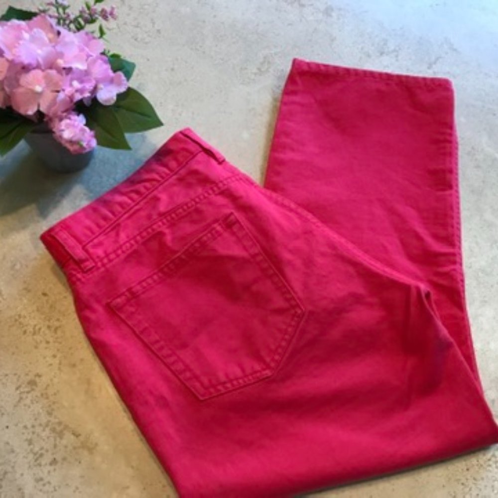 Gap button up capri pants  Size 10